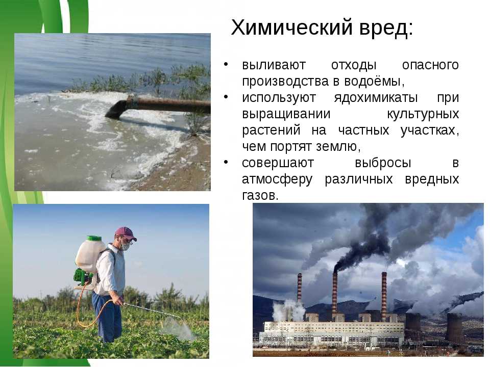 Как на нас зарабатывают за счёт «моды» на экологичность