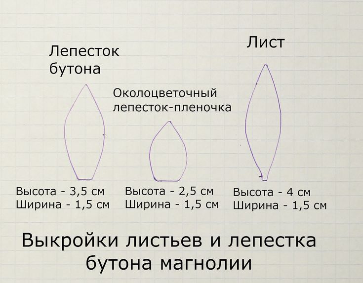Цветы из фоамирана: понятные мастер-классы, схемы и шаблоны для начинающих