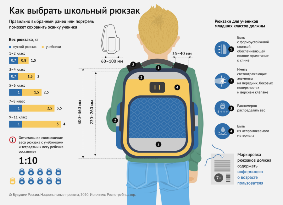 Правильный рюкзак для школьника. Размер школьного рюкзака. Инфографика рюкзак. Размеры рюкзаков для детей. Чем отличается портфель от портфеля