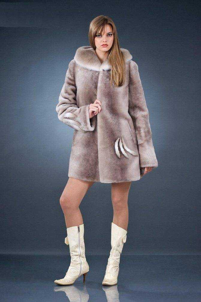 Мутон это мех какого животного