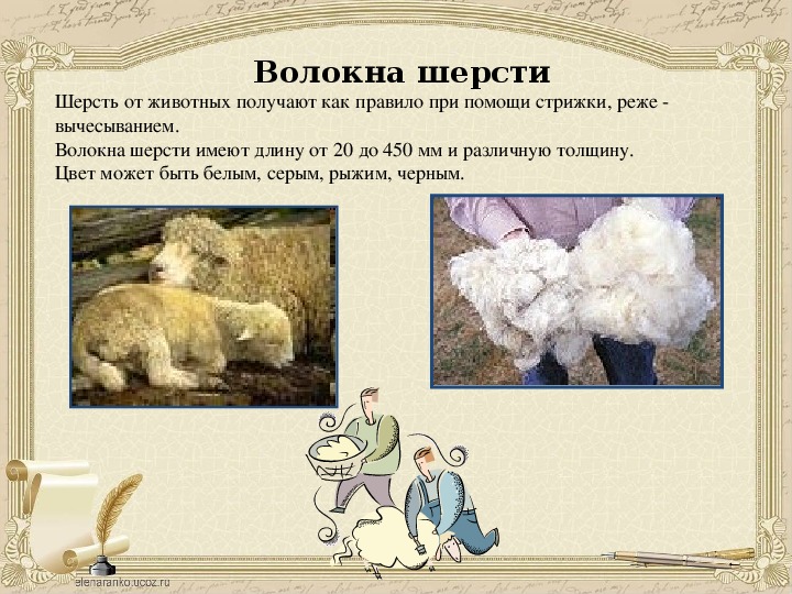 Разновидности шерсти и шерстяных тканей — the best guide