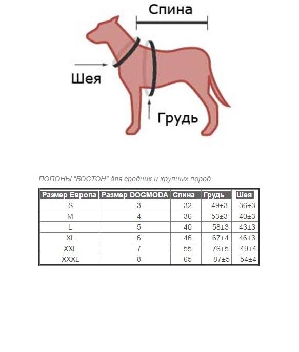 ᐉ как выбрать комбинезон для собаки? - ➡ motildazoo.ru