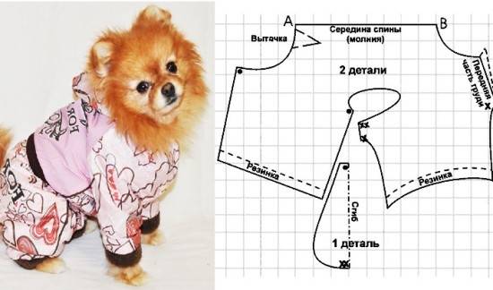 Комбинезон для собаки: выкройка, инструкция шитья, фото - handskill.ru