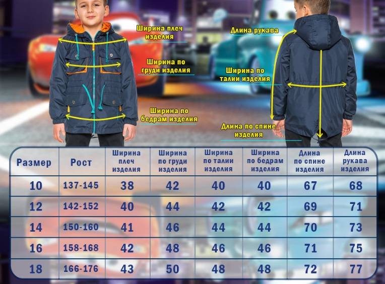 Демисезонные куртки 2022: как выбрать, фото, тренды