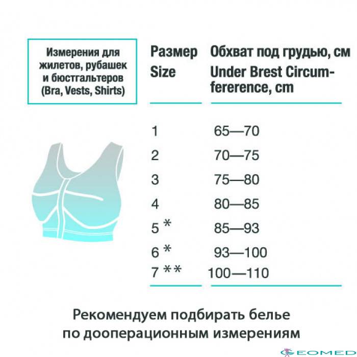 Размеры груди на картинке