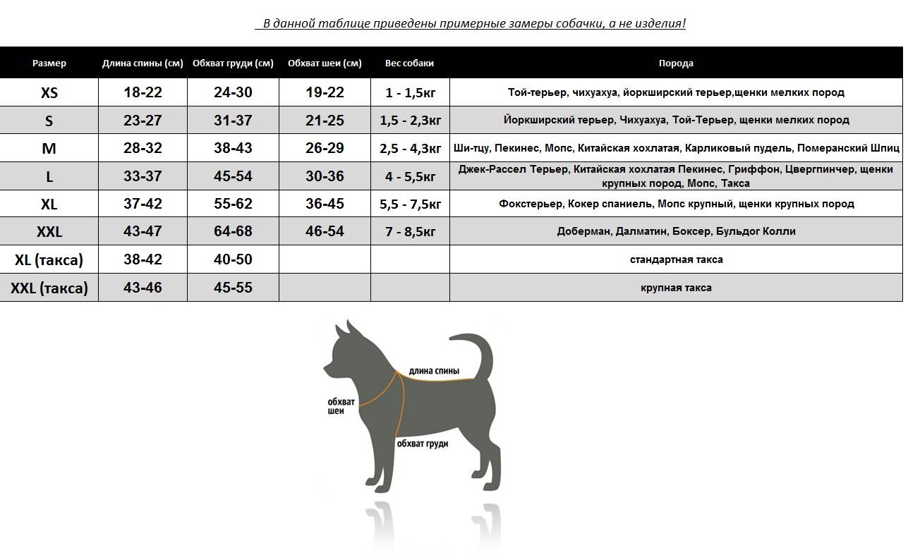 Выкройки комбинезонов для собак маленьких, средних и больших пород. как измерить собаку. таблица размеров одежды для собак. * vsetemi.ru