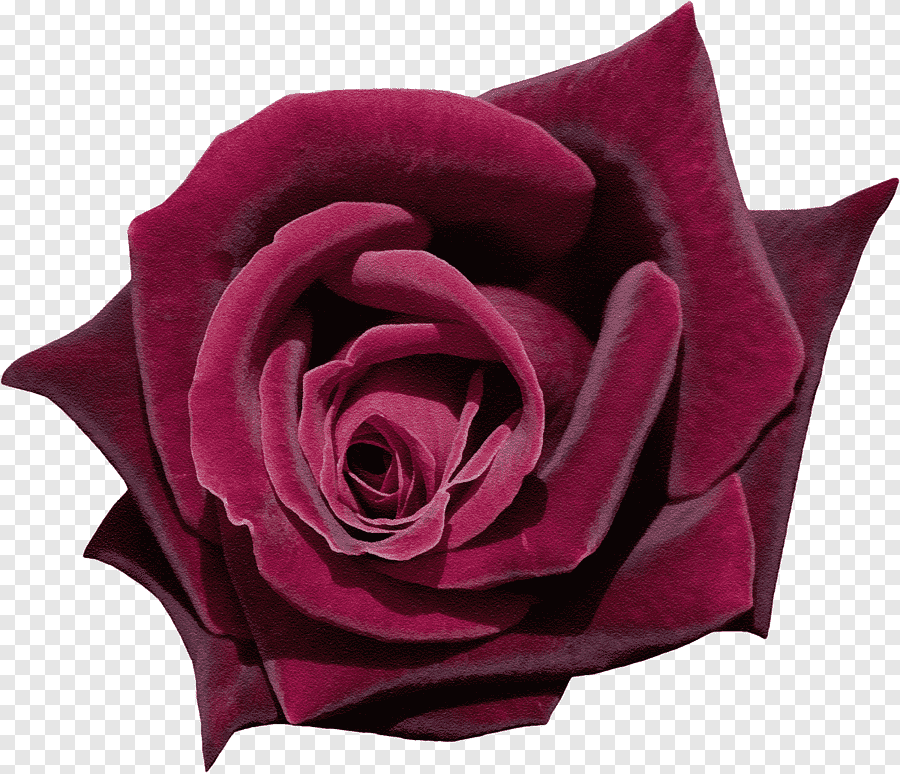 Меховый цветок «Роза»