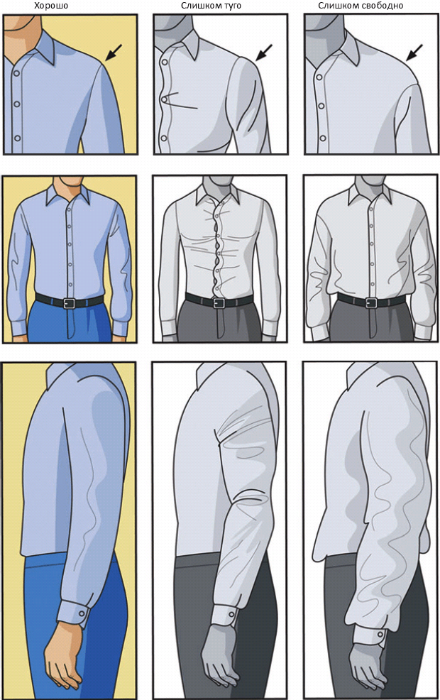 Как выбирать размер рубашки невысокому мужчине?