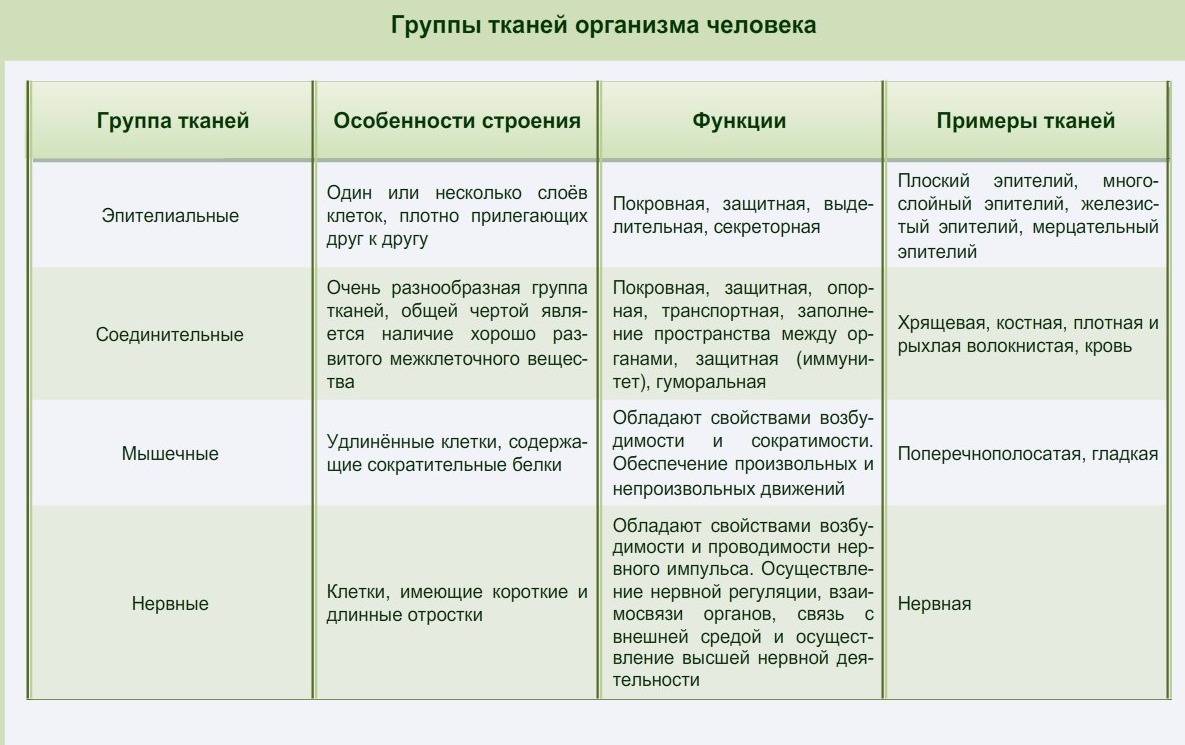 Описание и состав ткани батист