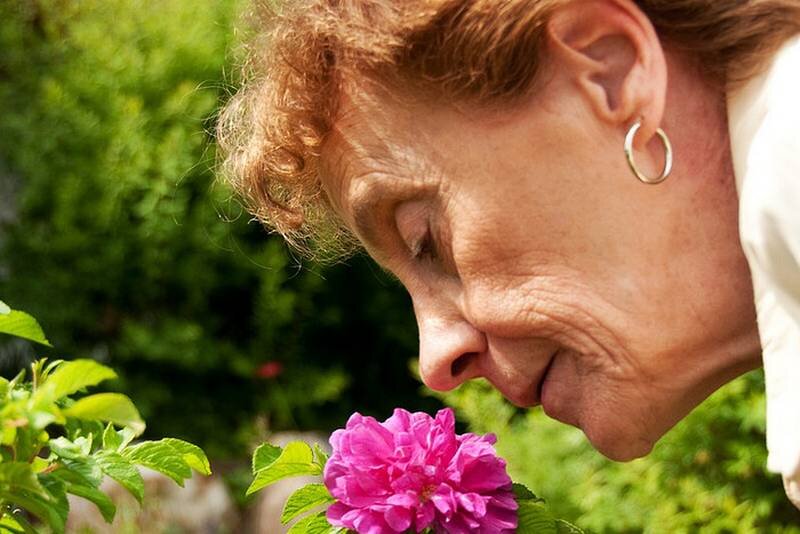 Причины старческого запаха старости или почему пожилые пахнут
