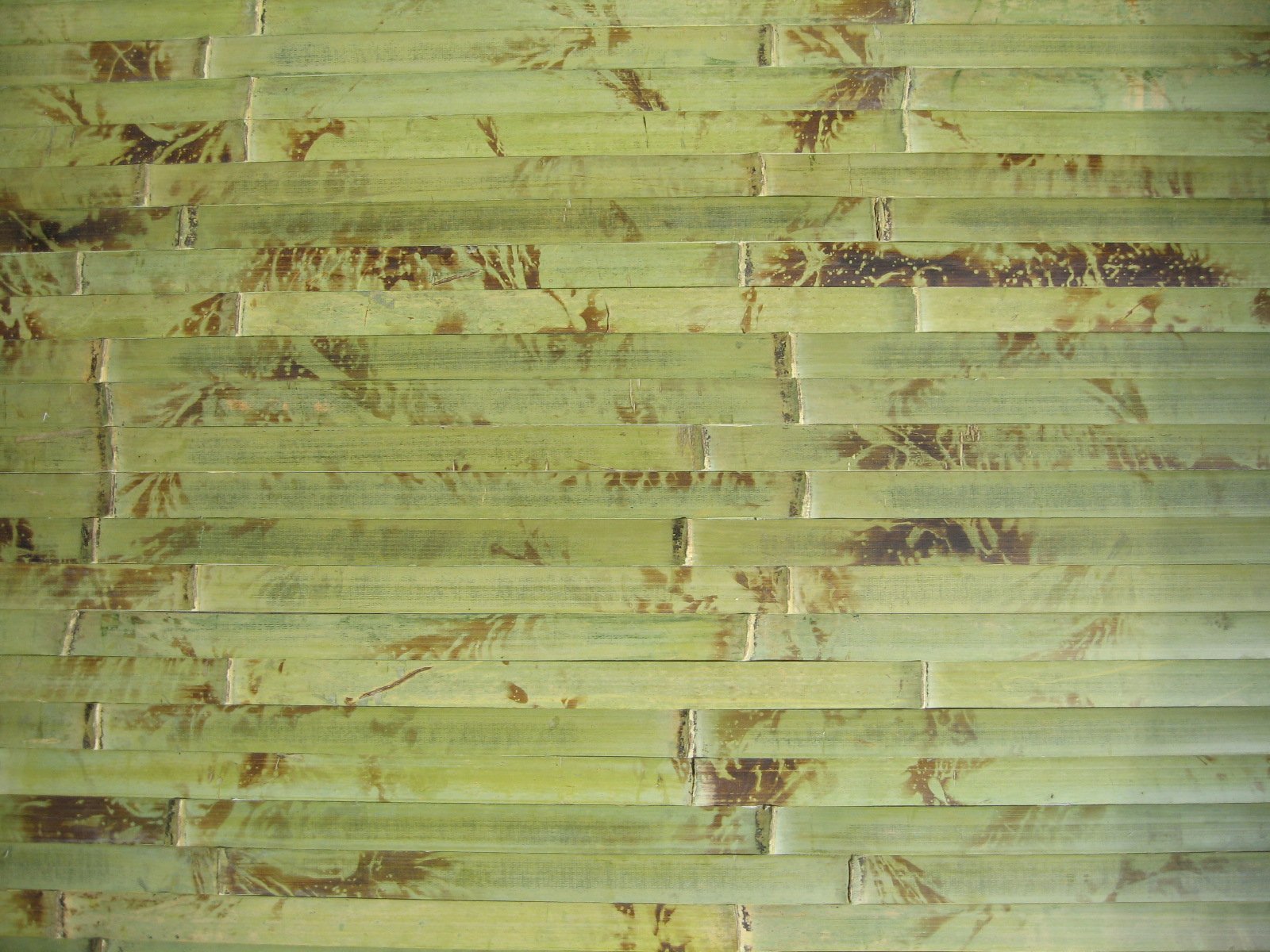 Бамбук – описание и свойства ткани