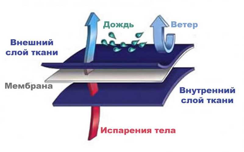 Мембрана ткань для детской одежды: что это значит и как она работает?