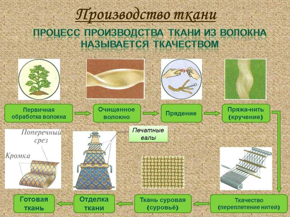 Как делают шелк? тутовый шелкопряд — фото