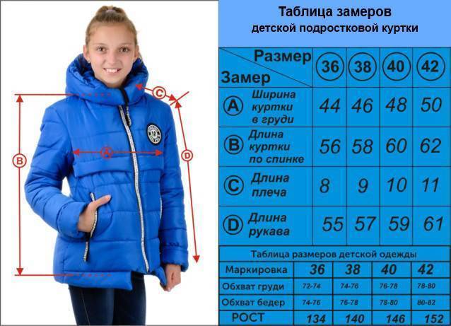 Как правильно выбрать зимнюю куртку по размеру