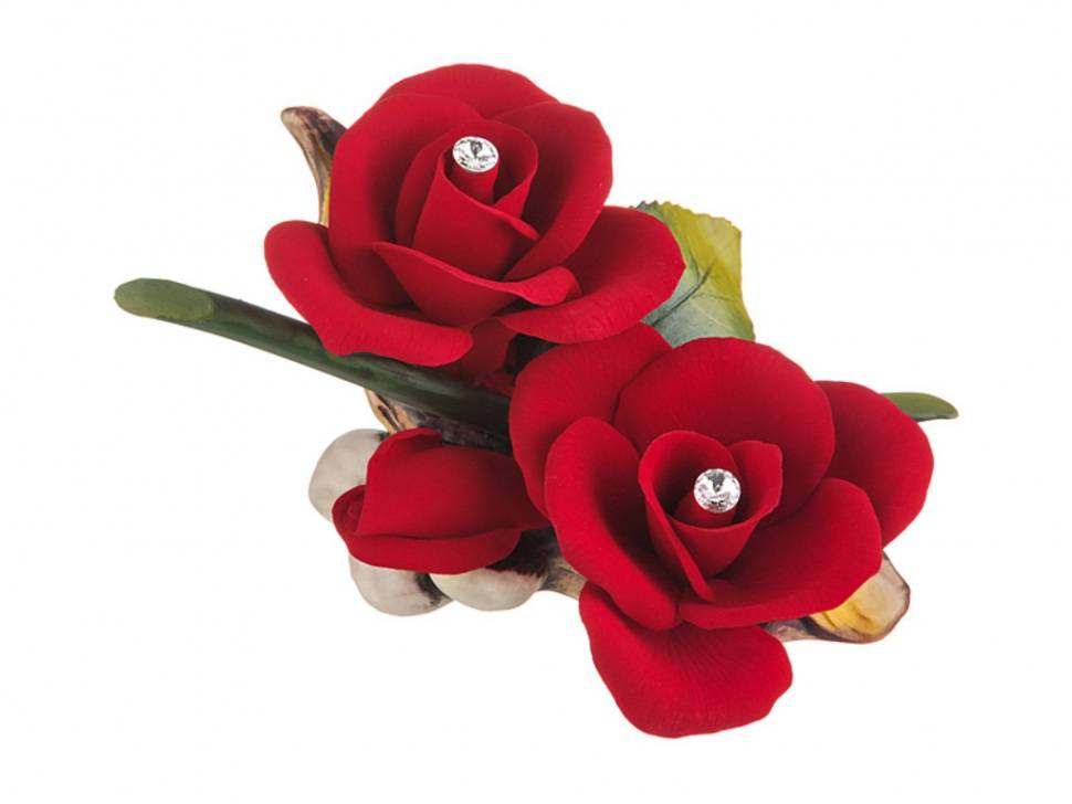 Как красиво упаковать розы? домашние хитрости — как упаковать розы — цветочная помощь