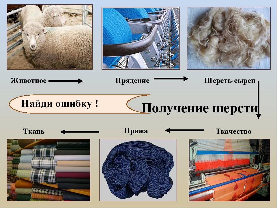 Виды шерсти овец: названия, характеристики