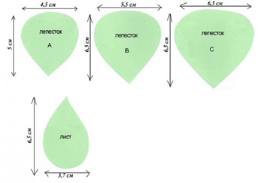 Фоамиран размеры. Шаблоны для ростовых цветов из фоамирана. Трафарет лепестков розы из изолона. Размеры лепестков для розы из изолона.
