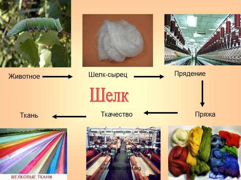 Производство шелка впр 5 класс. Шелковые ткани изготовляют из. Производство шелковых тканей. Технология производства шелковых тканей. Из чего делают ткань.