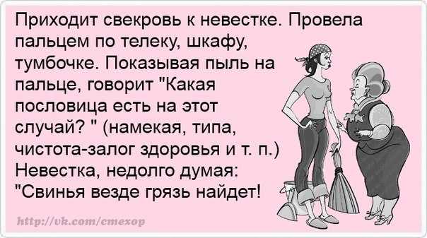 Почему свекровь мама. Приколы про свекровь. Анекдоты про свекровь. Свекровь и невестка приколы. Приколы про сноху.