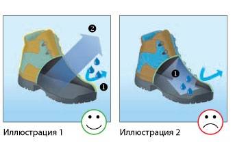 Стельки от пота и запаха - обзор лучших изделий от популярных брендов