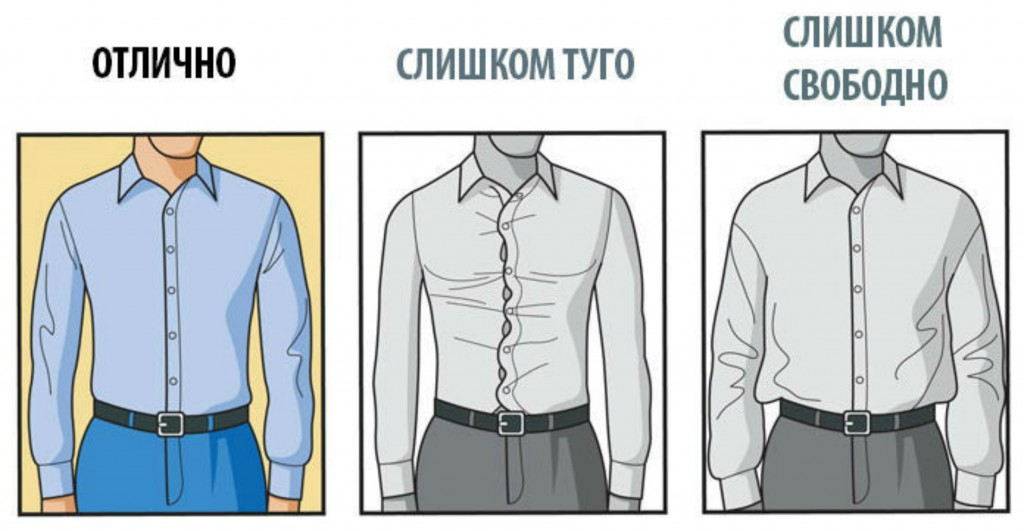 Как подобрать одежду для полных мужчин - советы и рекомендации