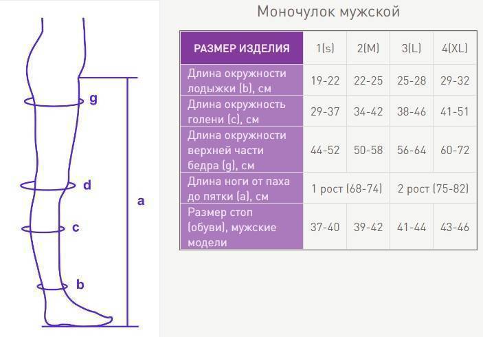 Размеры чулков женских — как определить, таблица и калькулятор