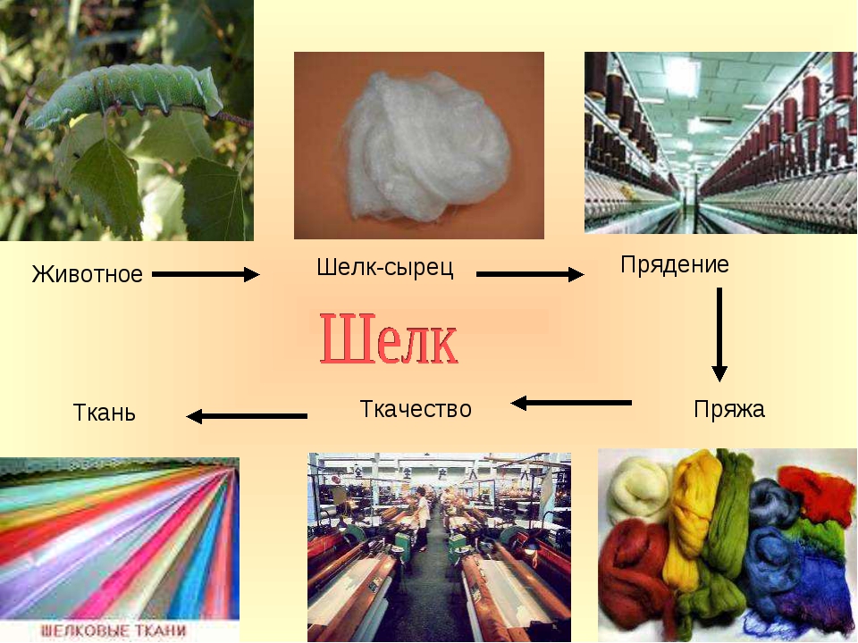 Получение шелка сырца последовательность элементов на схеме