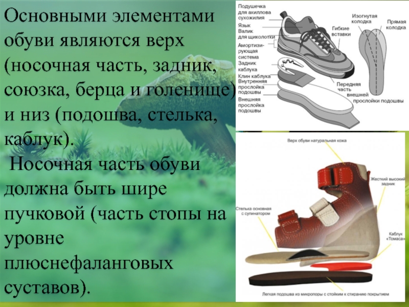 Cовременные эксплуатационные и технологические требования, предъявляемые к деталям верха обуви