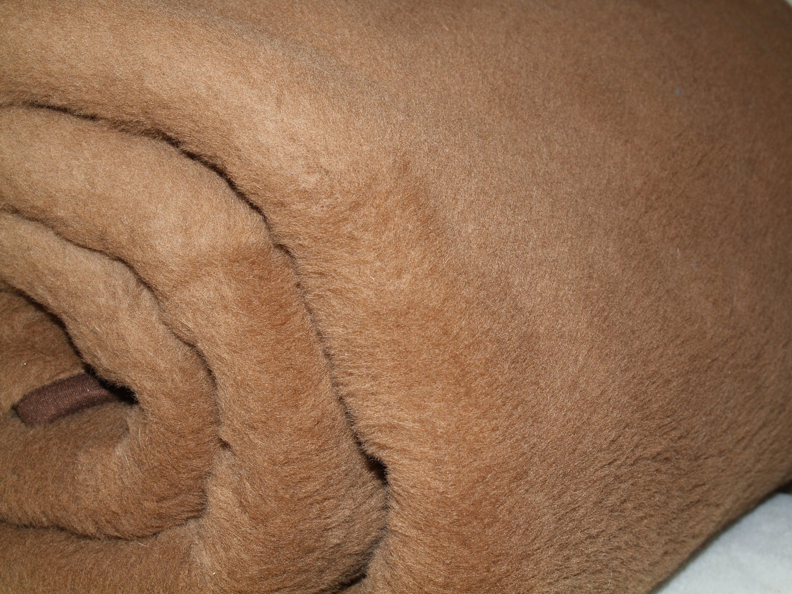 Плотное толстое покрывало. Одеяло Camel Wool. Pure Camel Wool одеяло. Одеяло Mongolian Camel Wool. Woolmark шерстяное одеяло.