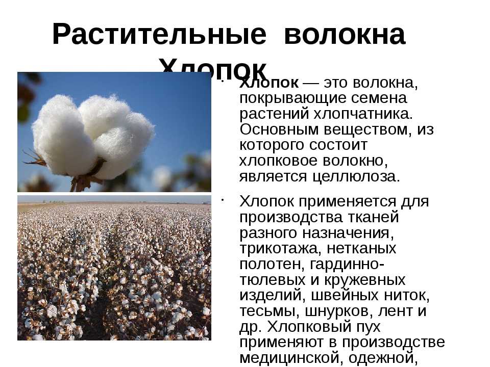 Особенности производства и свойств хлопковой ткани