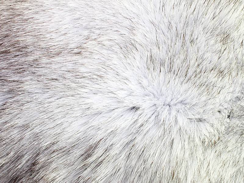 Песец шерсть. Wapsi мех песца Arctic Fox fur FL.Chartreuse. Текстура шерсти. Мех фактура. Текстура мех песца.