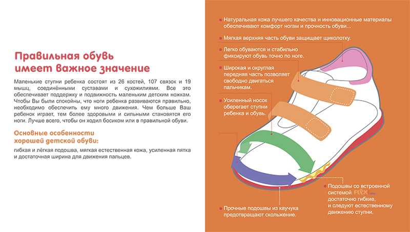 Как правильно выбрать обувь по типу фигуры: туфли, сапоги, ботильоны