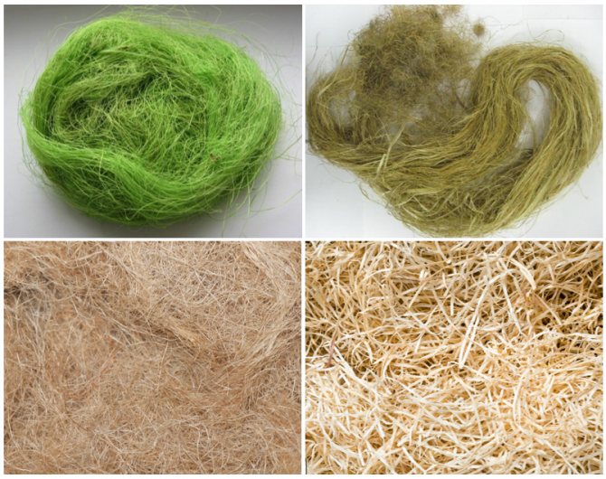 Сизаль – это материал из растительного волокна: его свойства и сферы использования