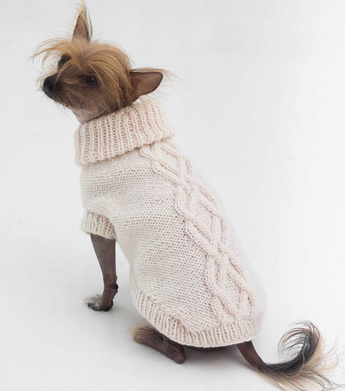 Вязаные спицами собака. Вязаная одежда для собак. Свитер для собак. Вязаный свитер для собаки. Вязаная одежда для собачек.