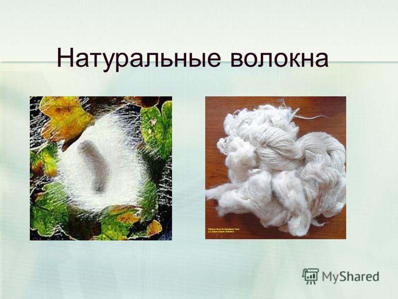 Натуральные волокна преимущества. Натуральные волокна. Волокна животного происхождения. Натуральные волокна животного происхождения. Текстильные волокна животного происхождения.