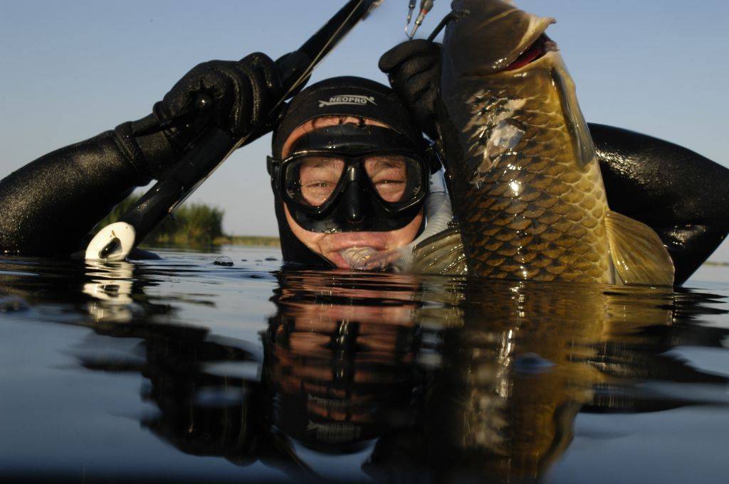 Фото подводная охота картинки