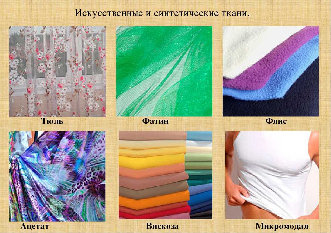 Виды тканей растений и их функции