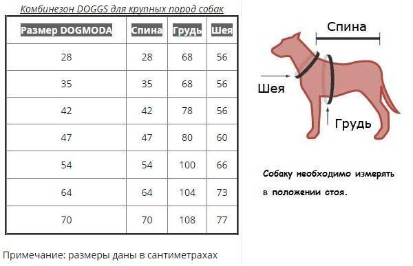 Каким собакам нужен комбинезон в холодное время года: виды комбинезонов, какие породы больше других нуждаются art-textil.ru