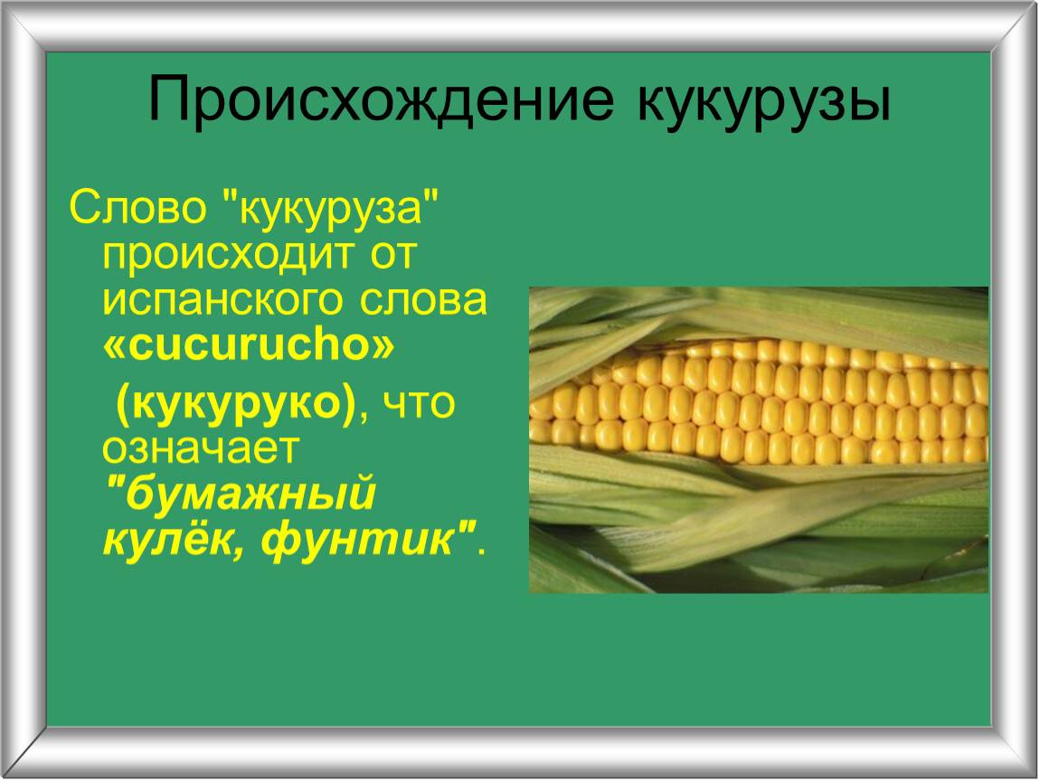 Узор «кукуруза» спицами: схемы с описанием простых и красивых рисунков