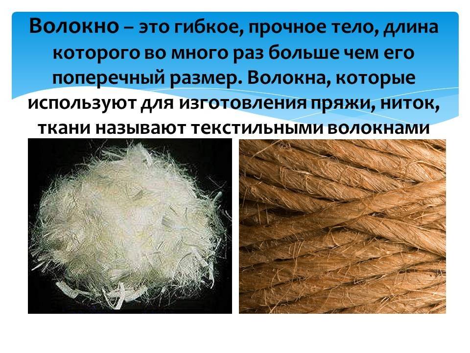Шерсть: это что такое, как выглядит натуральная, свойства и разновидности