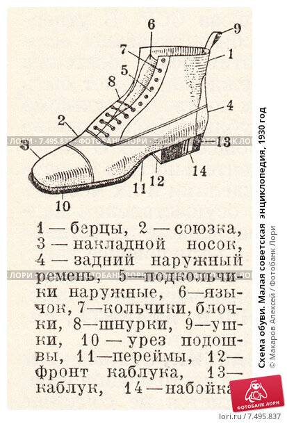 Что такое союзка в обуви: главные особенности и для чего они нужны