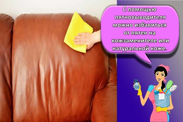 Чем оттереть зеленку с кожи дивана - 11 способа вывести с ткани