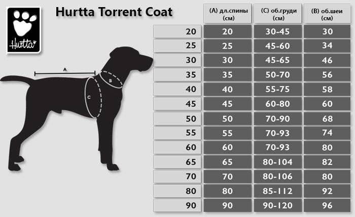 Варианты размеров одежды для собак, как снять мерки