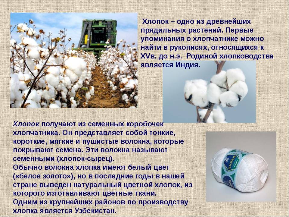 Хлопок - что это за ткань? - виды тканей