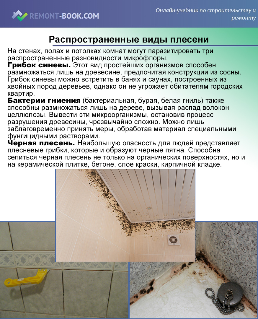 Плесень в ванной на потолке: как избавиться и убрать грибок, бороться и чем обработать