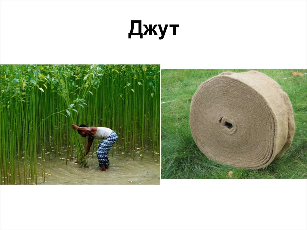 Джутовая - что это значит? узнайте о материале и его особенностях.