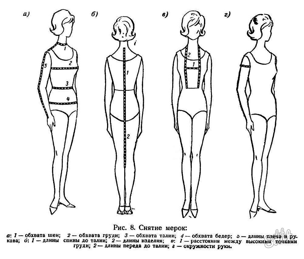 Как определить тип телосложения по запястью: способы и методы определения, показатели, особенности