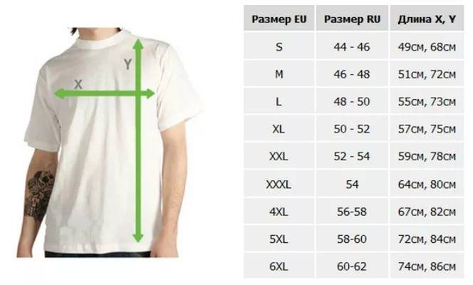 Как подобрать размер мужской футболки? :: syl.ru
