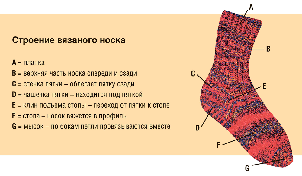 Как связать носки 38. Строение вязаного носка. Схема носок спицами. Носки спицами для начинающих. Носки схема вязания.