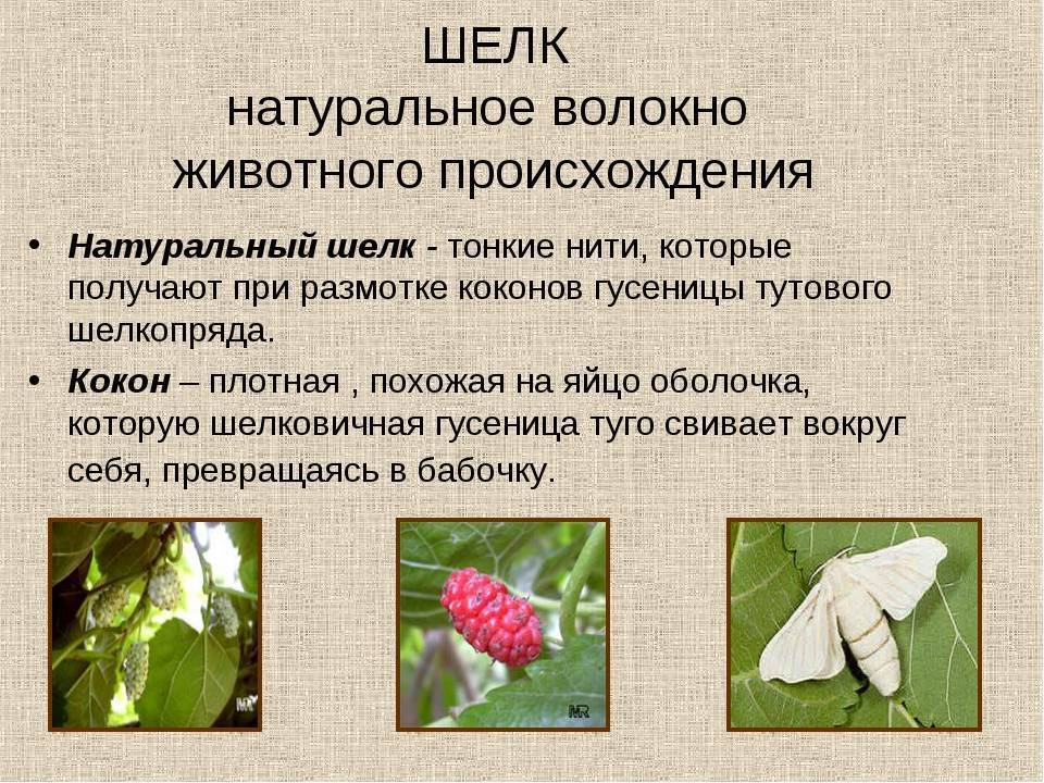 Обзор тканей натурального происхождения